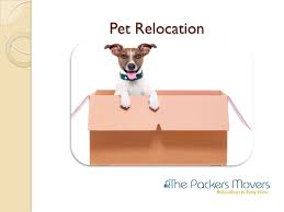 For more information about our moving services, please. Choose The Best Packers And Movers In Chennai At Reasonable Price From Thepackersmovers Com Ppt Download