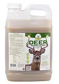 The storage of the coffee grounds for 7 to 10 days in a bag, wet, makes them pretty stinky. Do Coffee Grounds Keep Deer Away From Gardens Wildlife Informer