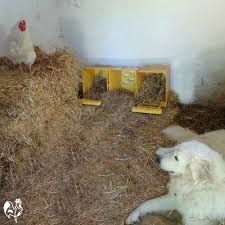 With that said, the average consensus for large birds is that the best number of nesting boxes you need is one box for every 3 to 4 chickens. Chicken Nest Boxes 101