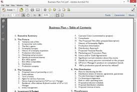 Every company needs a business plan to sustain itself in the market. Business Plan Table Of Contents Example