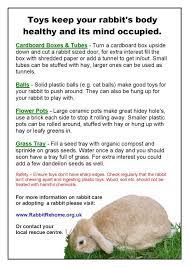 Pin By Lora Ann Wright On Better Bunny Rabbit Care Pet Rabbit Rabbit Toys