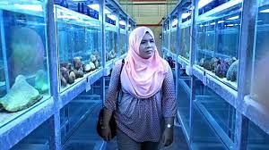 Saksikan keunikan pelbagai spesies batu karang dengan lebih dekat lagi di galeri pusat ikan hiasan marin port dickson. Pusat Ikan Hiasan Port Dickson N Sembilan Youtube