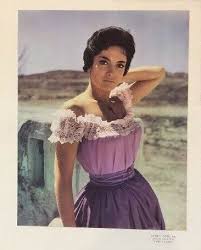 She is known for her roles in the diving bell and the butterfly (2007), the ninth gate (1999) and frantic (1988). Who Is Linda Cristal Dating Linda Cristal Boyfriend Husband
