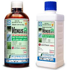 Venus 300EC