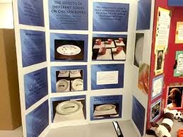 Marine Biology Science Fair Projects 75 Science Fair Project Ideas Science Fair Projects Middle School Science Fair Projects Science Fair