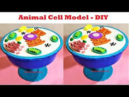 Maybe you would like to learn more about one of these? How To Make An Animal Cell Model 3d Project For Science Exhibition How To Make Animal Cell Model Youtube Animal Cell Animal Cells Model Cell Model
