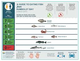 Fish Advisory For Humboldt Bay Offers Safe Eating Advice For