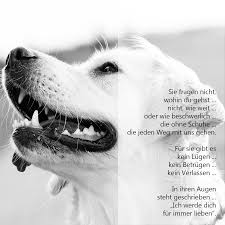 Sie Fragen Nicht Trauergedicht Anubis Tierbestattung Hundeschule Hund Zitat Hunde Erziehen