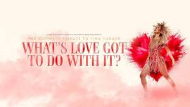 What's Love Got to do With it? - The Ultimate Tribute to Tina Turner
