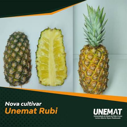 UNEMAT - Universidade do Estado de Mato Grosso | 45 anos de hist&oacute;ria