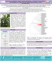 Image result for Dasylepis