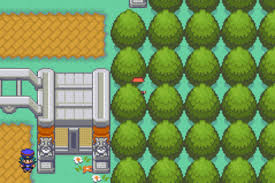 I Was Playing Pokémon Fire Red Ver And Found This, Any Idea What Is It? :  R/Delta_Emulator