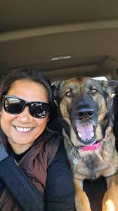 appreciation for the good life and german shepherds