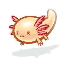 Let's have fun with cool cartoon drawings! Axolotls Axolotl Art Cute Drawings