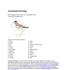 Burung Gambar Kerangka Hewan Vertebrata Doc Materi Kuliah F Pertanian Uniska Academia Edu Apa Itu Burung Sebenarnya Kliknclean Hewan Vert Burung Hewan Gambar
