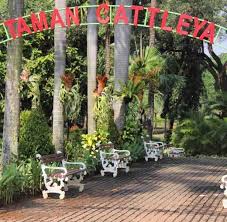Tiket masuk taman cattleya gratis. Pesona Keindahan Taman Cattleya Jakarta Barat Atmago