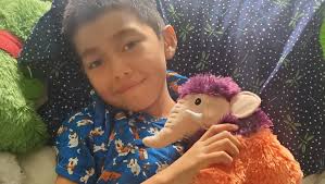 Fundraiser for Mariana Gonzales by Yesenia Saldivar : Josue's road to  recovery