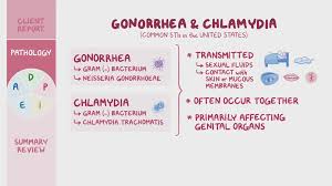 Image result for gonorrhea symptoms