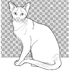 Oriental Siamese Cat Coloring Page From Cats Category Select From 25105 Printable Crafts Of Cartoons Nature A Cat Coloring Page Cat Coloring Book Cat Colors