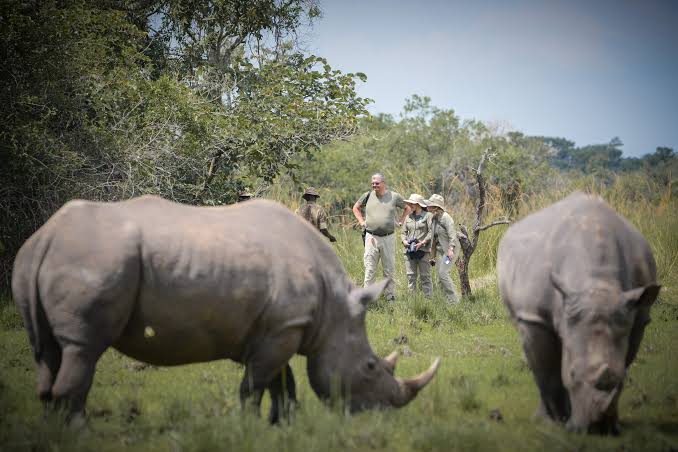 10 Days Uganda Classic: Rhinos, Falls, Chimps and Gorillas