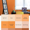 ← burnt orange paint colors with natural. 1