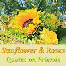 Quotes About Sunflowers And Friends To Enjoy