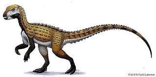 Check spelling or type a new query. Pictures And Profiles Of Armored Dinosaurs
