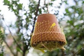 Bastelanleitung Ohrenkneifer Unterschlupf Insektenhotel Ohrenzwicker Insektenhotel Bauanleitung