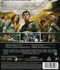 Netflix unterstützt die prinzipien der digital advertising alliance. Maze Runner 1 Die Auserwahlten Im Labyrinth Dvd Oder Blu Ray Leihen Videobuster De