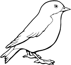 This is a great collection of bird coloring pages. Sparrow Coloring Online Super Coloring Simple Bird Drawing Bird Coloring Pages Bird Drawings
