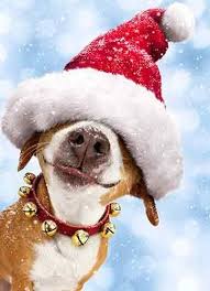 Robot Check Christmas Dog Christmas Animals Cute Animals