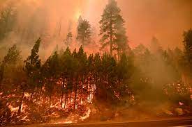 The fire destroyed multiple homes sunday along highway 50, one of the main routes to the south end of the lake. Ovxssvepqf6q5m
