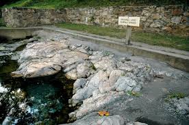 Maybe you would like to learn more about one of these? The Springs Nature S Special Mark Berkeley Springs West Virginia