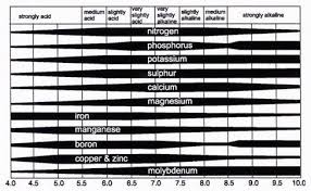 all you need to know about ph and nutrient availability