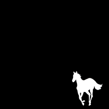 Deftones White Pony 2000 Deftones White Pony Horse Wallpaper Horse Background