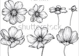 We did not find results for: Drawing Jasmine Flower Drawing Easy Step By Step