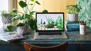 I have sent a couple of inquiries to customer su.pport and have not heard back regarding my order. The 10 Best Plants For Your Office Or Desk