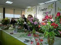 Field of flowers davie hours. 46 Field Of Flowers Ideas Flowers Flower Field Field