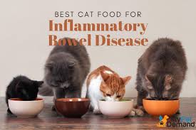 This comprehensive page is a good starting point for those who want to understand ibd in cats. Best Cat Food For Inflammatory Bowel Disease My Pet Demand