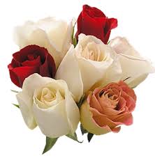 Результат пошуку зображень за запитом анімаційні картинки букет квітів на прозорому фоні