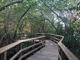 Secret woods nature center source: Secret Woods Nature Center One Of The Best Kept Secrets In Dania Beach Review Of Secret Woods Nature Center Dania Beach Fl Tripadvisor