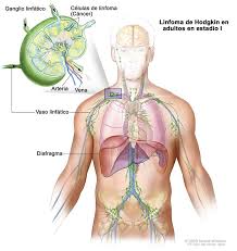 Pin En Cancer