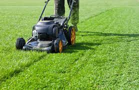 36 Top Tips to Use Mowing Lawns for Extra Cash