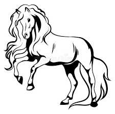 In this drawing lesson we'll show you how to draw a horse in 8 easy steps. Mustang Drawing Stock Illustrations 5 493 Mustang Drawing Stock Illustrations Vectors Clipart Dreamstime
