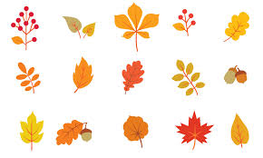 Hojas De Otoño Para Colorear