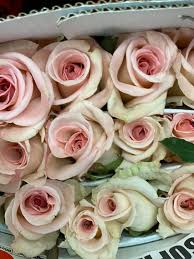 Sep 03, 2021 · asheville, nc flourish flower farm provides local, fresh, fragrant blooms to florists, businesses, individuals, weddings and events across western north carolina. Coward Wholesale Florist Llc Home Facebook
