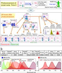 Novel Full Spectral Flow Cytometry With Multiple Spectrally