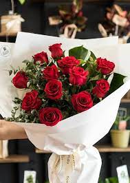 We did not find results for: One Dozen Long Stem Red Rose Bouquet Wrapped The Flower Alley
