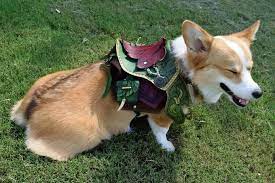 Corgi Fairy Saddle Corgi Dog Armor Corgi Mom