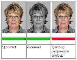 Just take a photo using digital camera, then. Make Finland Passport Visa Photo Online
